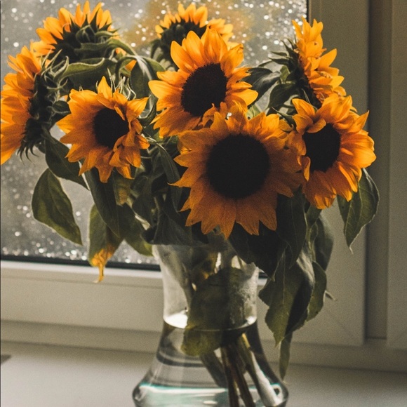 Meet your Posher, Sabrina - Picture 1 of 1